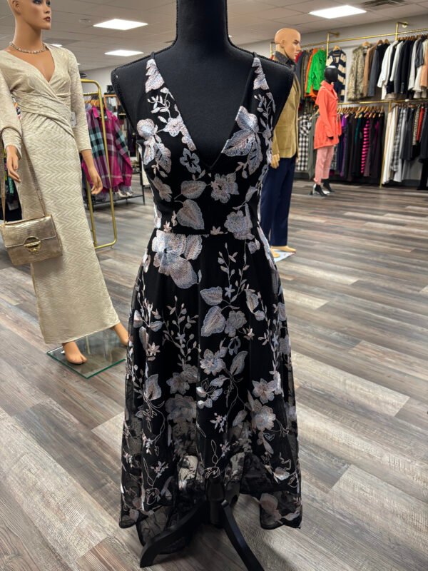 XSCAPE 3D Floral Embroidered V-neck Gown